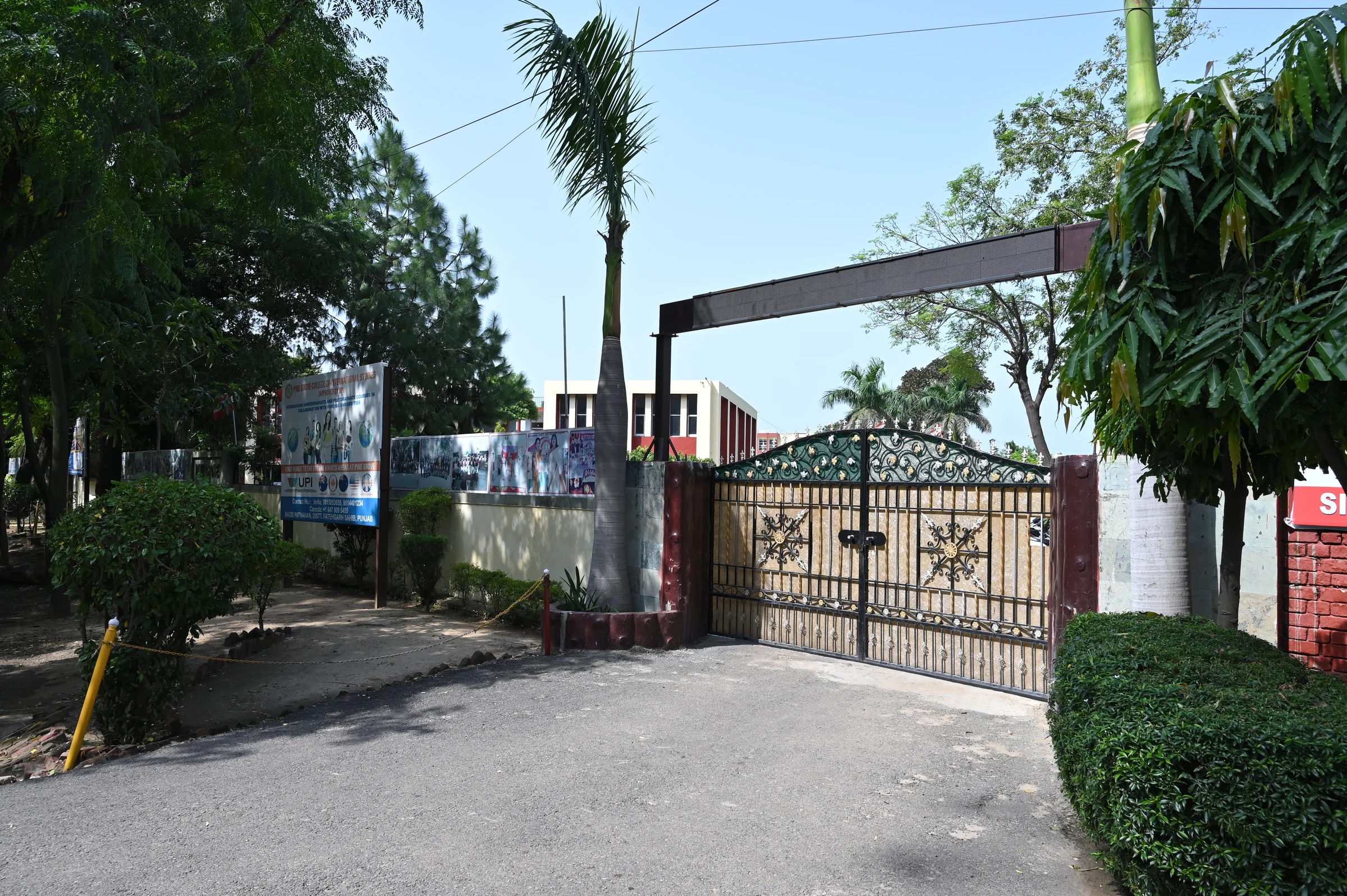The main Pine Grove campus gate and tree-lined entrance from the approach road.