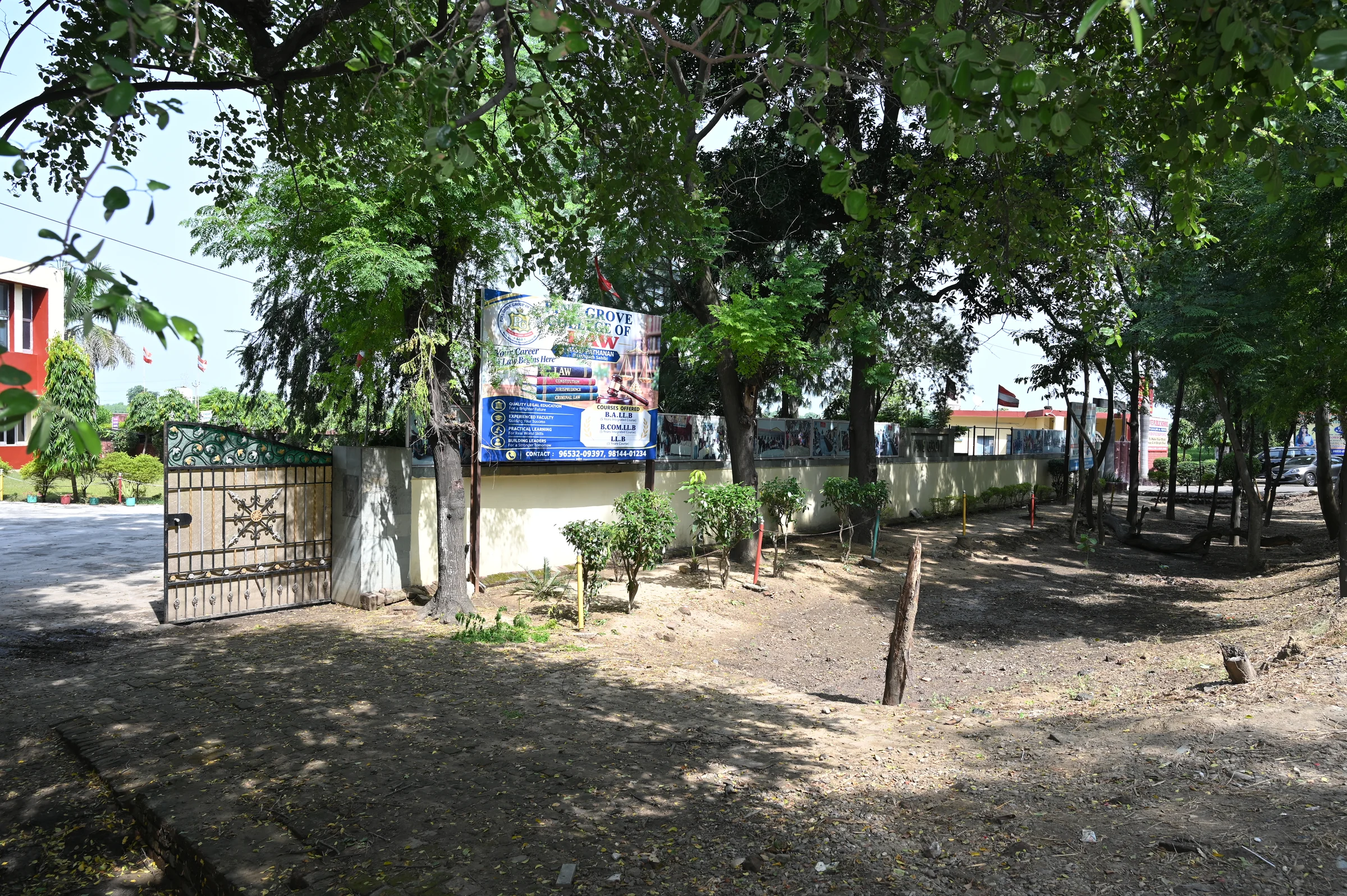 A tree-framed view through the college gateway towards the Pine Grove buildings.