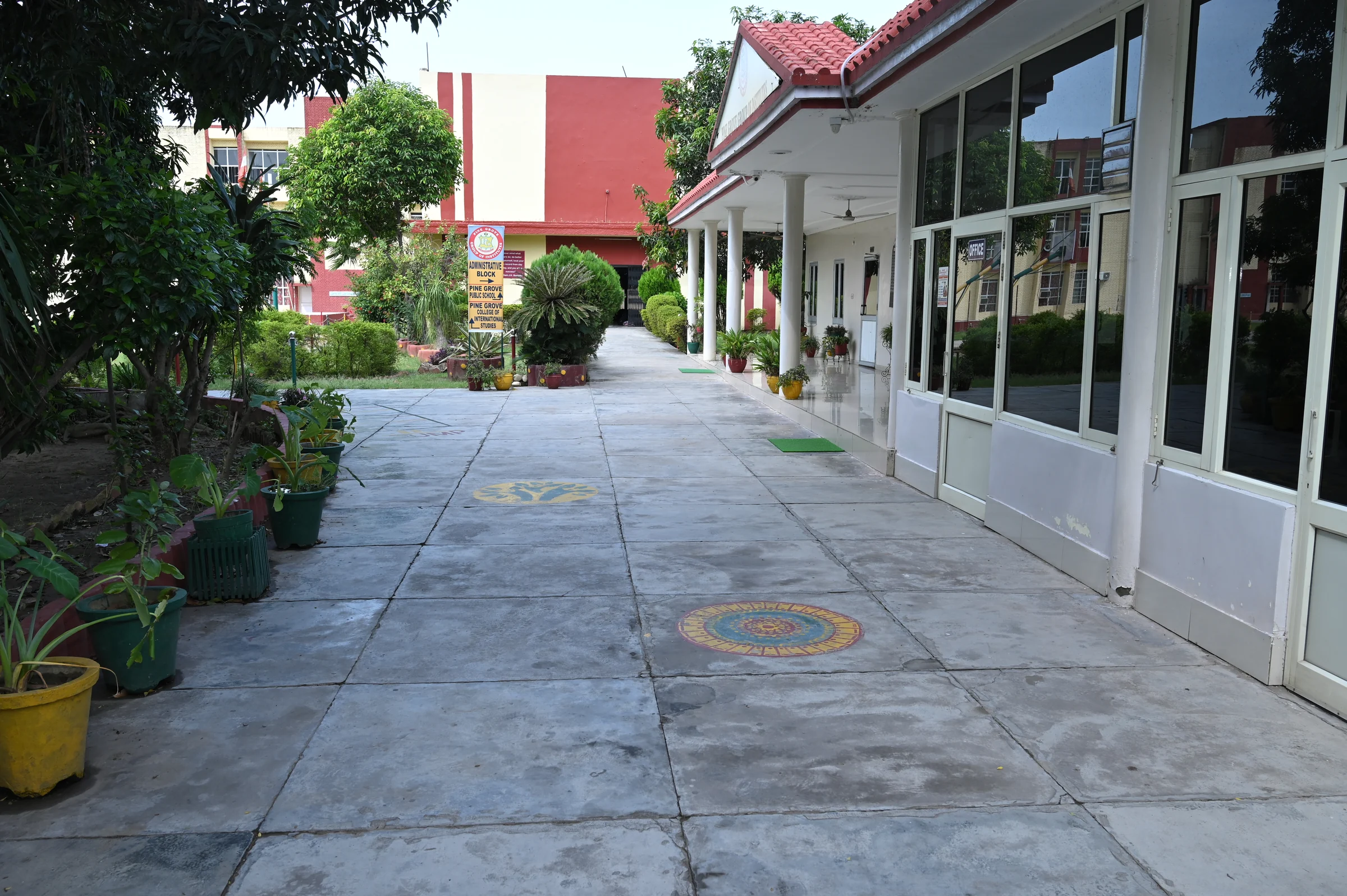 The welcoming walk to the school reception, bordered by plants and the glass-fronted office.